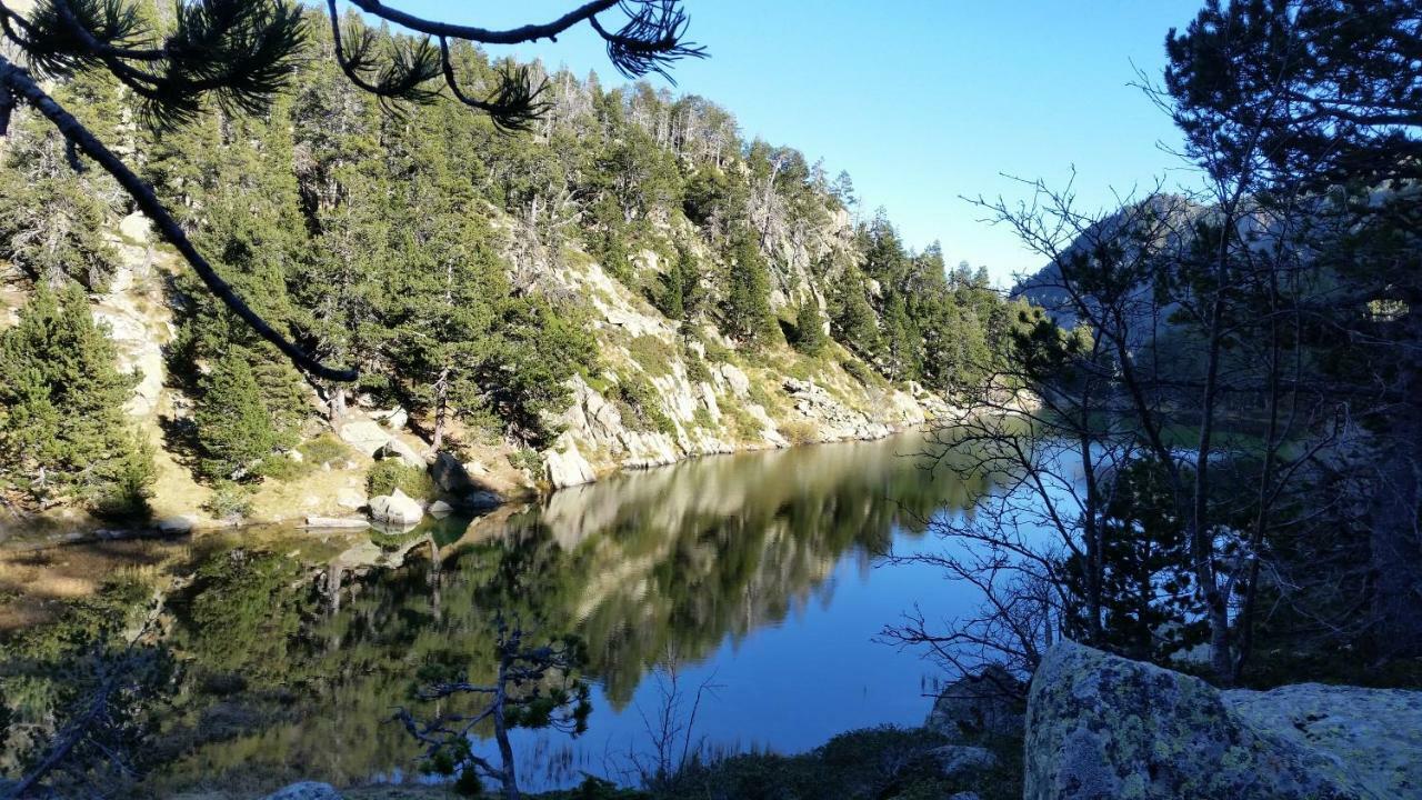 Le Renne Blanc Pyrenees De France * Font-Romeu-Odeillo-Via